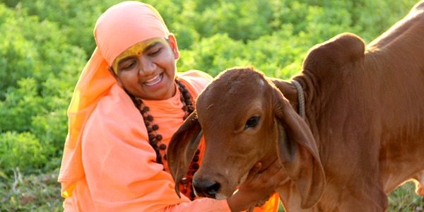 गौ सेविका साध्वी शबला गोपाल सरस्वती दीदी जी